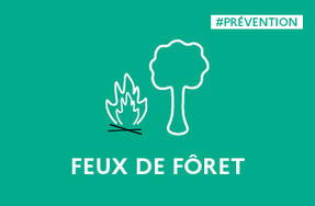Feux de forêt | Levée des interdictions d’accès aux massifs forestiers depuis le 16 août 2022