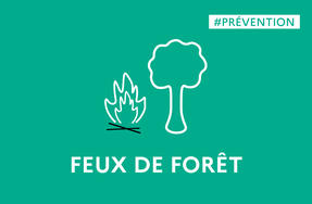 Feux de forêt | Réglementation temporaire en Ille-et-Vilaine au 5 août 2022