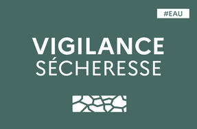 Sécheresse | Le département d’Ille-et-Vilaine placé en état de vigilance sécheresse