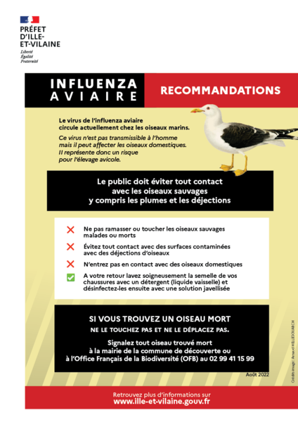 2022_07_influenza aviaire WEB